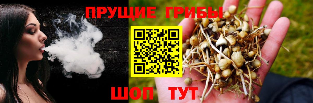 Дедовск  Галлюциногенные грибы Cubensis  Псилоцибиновые грибы мухоморы  Вход с VPN 